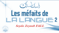 Mefaits-de-la-langue2