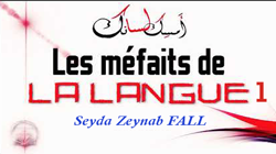 Les méfaits de la langue 1 – Seyda Zeynab FALL